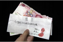 大柴旦为什么选择专业追讨公司来处理您的债务纠纷？